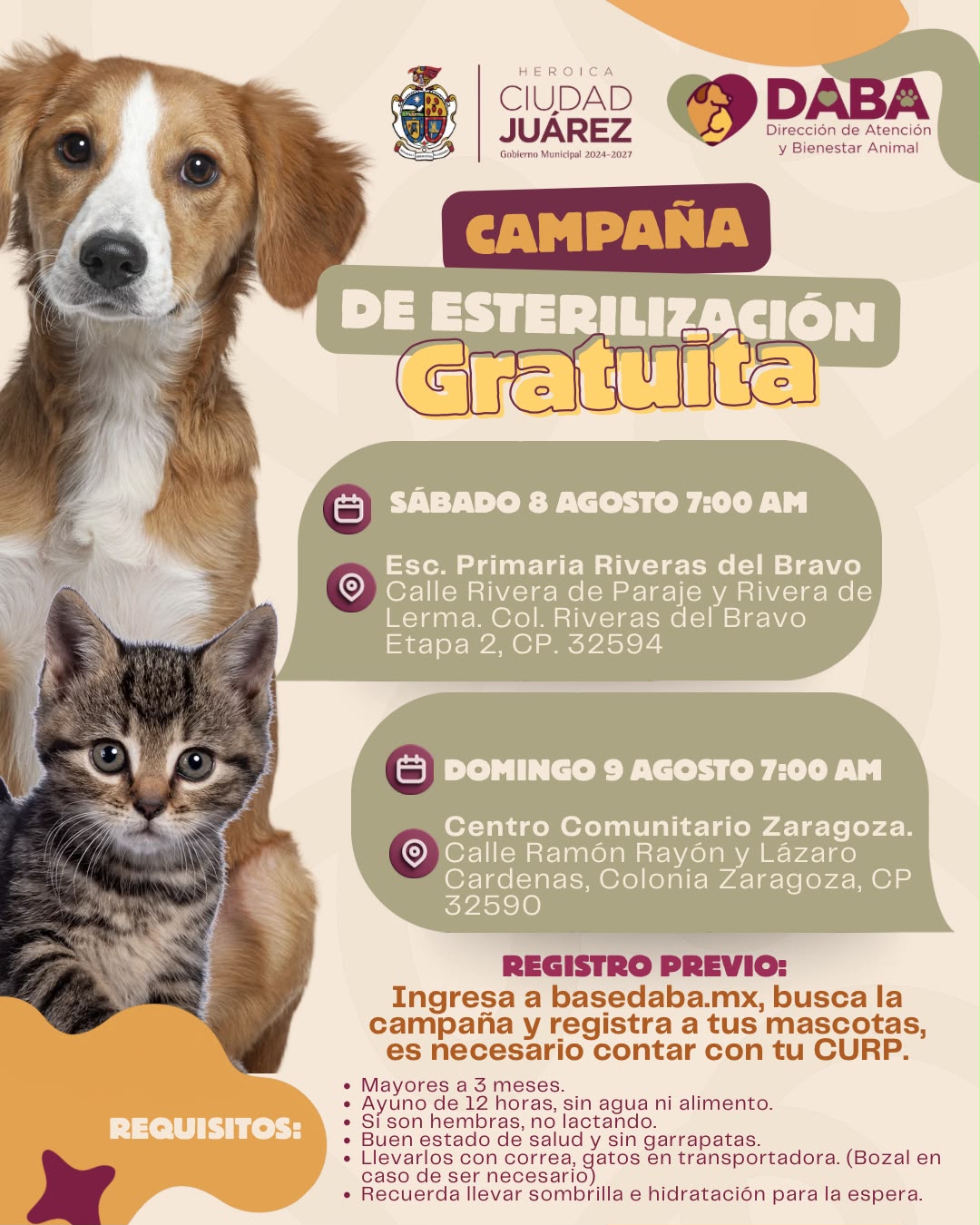 DABA llevará esterilizaciones gratuitas a Riberas del Bravo y Zaragoza